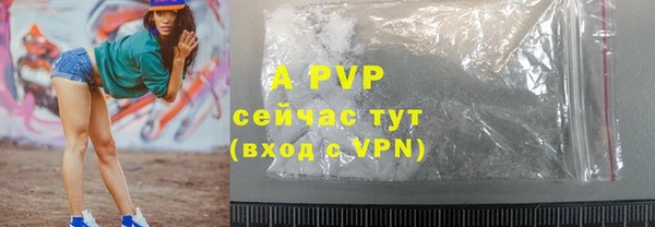 крисы Кулебаки