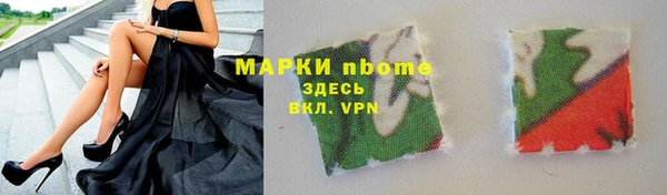 крисы Кулебаки