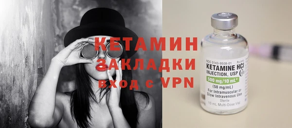 крисы Кулебаки