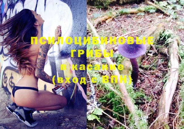 крисы Кулебаки