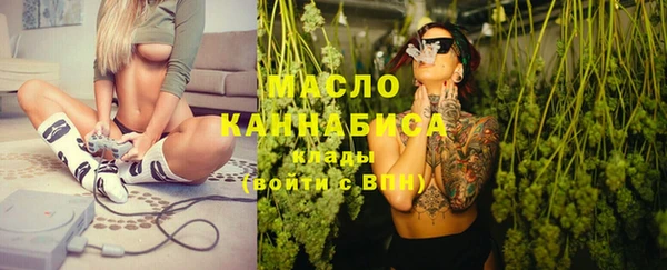 крисы Кулебаки