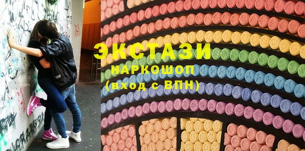 крисы Кулебаки