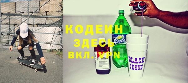 крисы Кулебаки