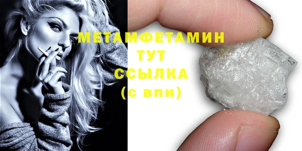 крисы Кулебаки