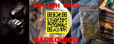 гидра Кандалакша