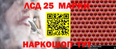 гидра Кандалакша