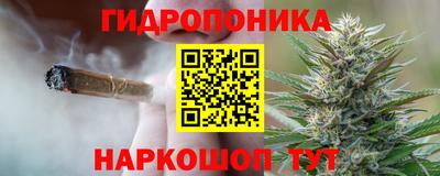дурь Камышлов