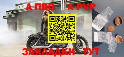 гидра Кандалакша