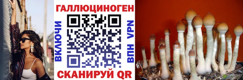Псилоцибиновые грибы MAGIC MUSHROOMS Кохма