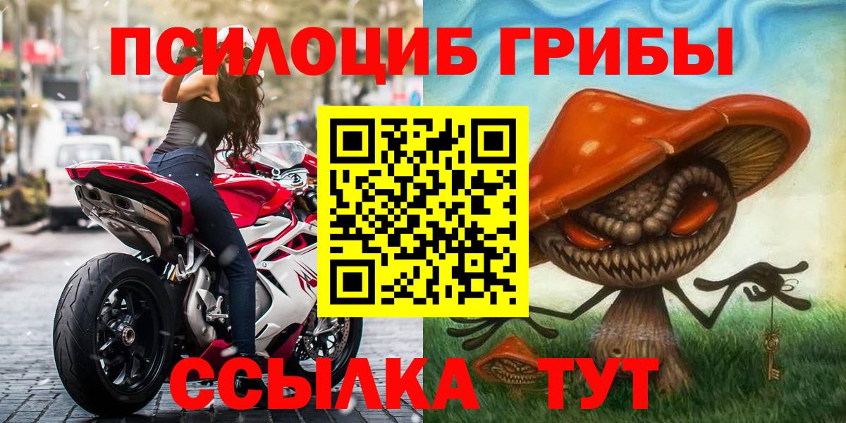 Псилоцибиновые грибы мухоморы Кохма