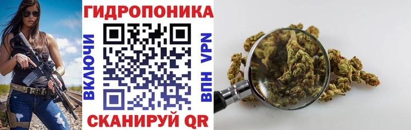 Марихуана Amnesia  hydra   Кохма 